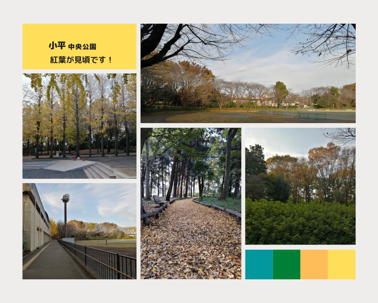 小平中央公園20211118